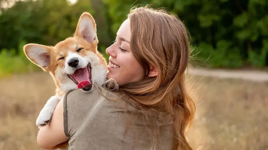 Top Gadgets for Pet Owners