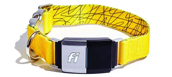 Fi Smart Dog Collar Series 2