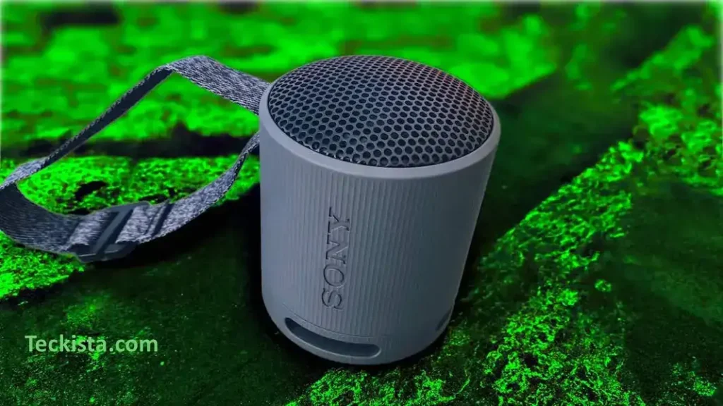 Sony SRS-XB100